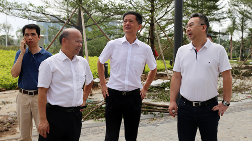 王建华要求金年会官方网站入口厦门片区企业全力做好灾后自救工作